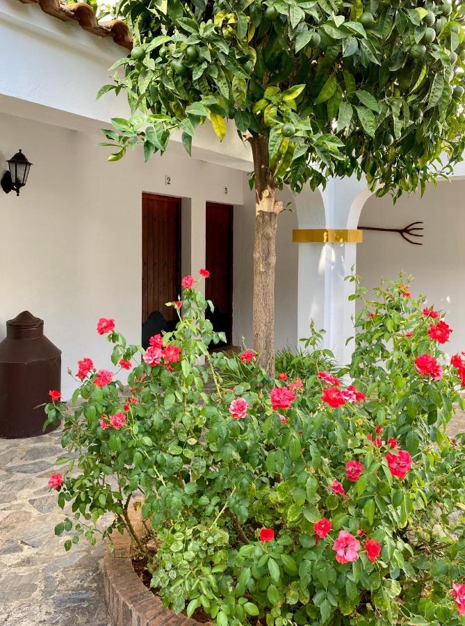 Appartement El Molino De La Quinta à Constantina Extérieur photo