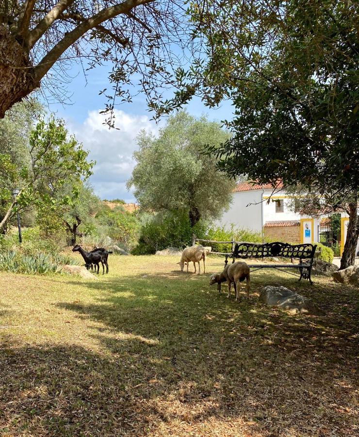 Appartement El Molino De La Quinta à Constantina Extérieur photo